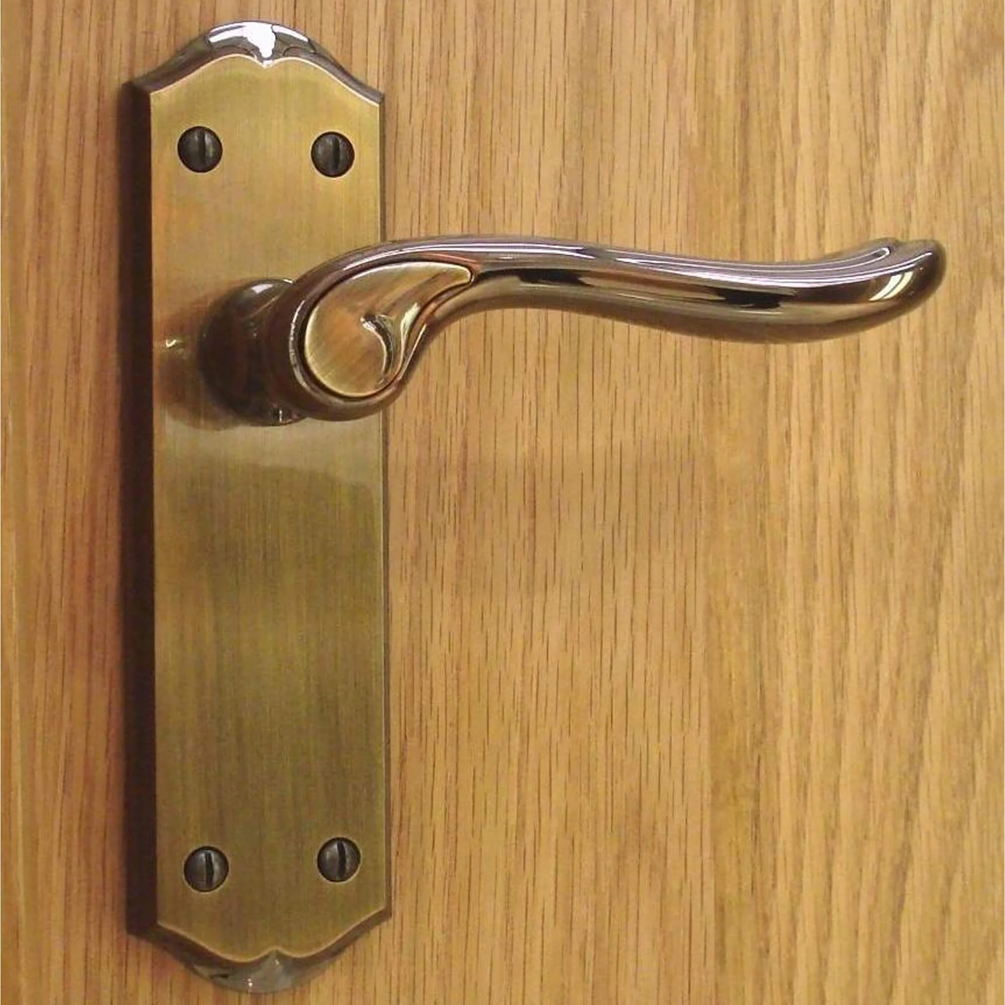 Monet Bright Coffee & Coffee Brushed Backplate Handle - Image 4