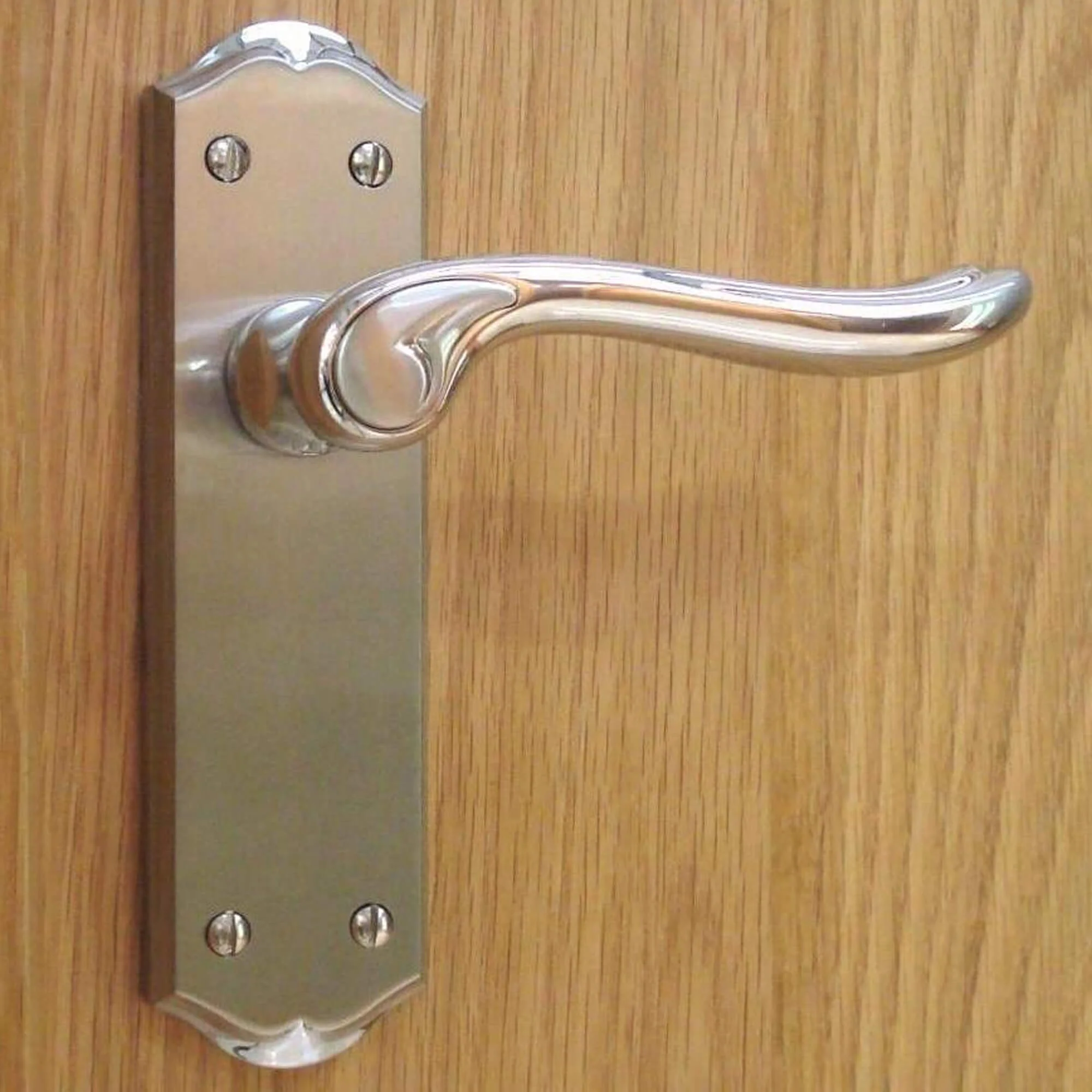 Monet Nickel Brushed & Polished Chrome Backplate Handle - Image 4