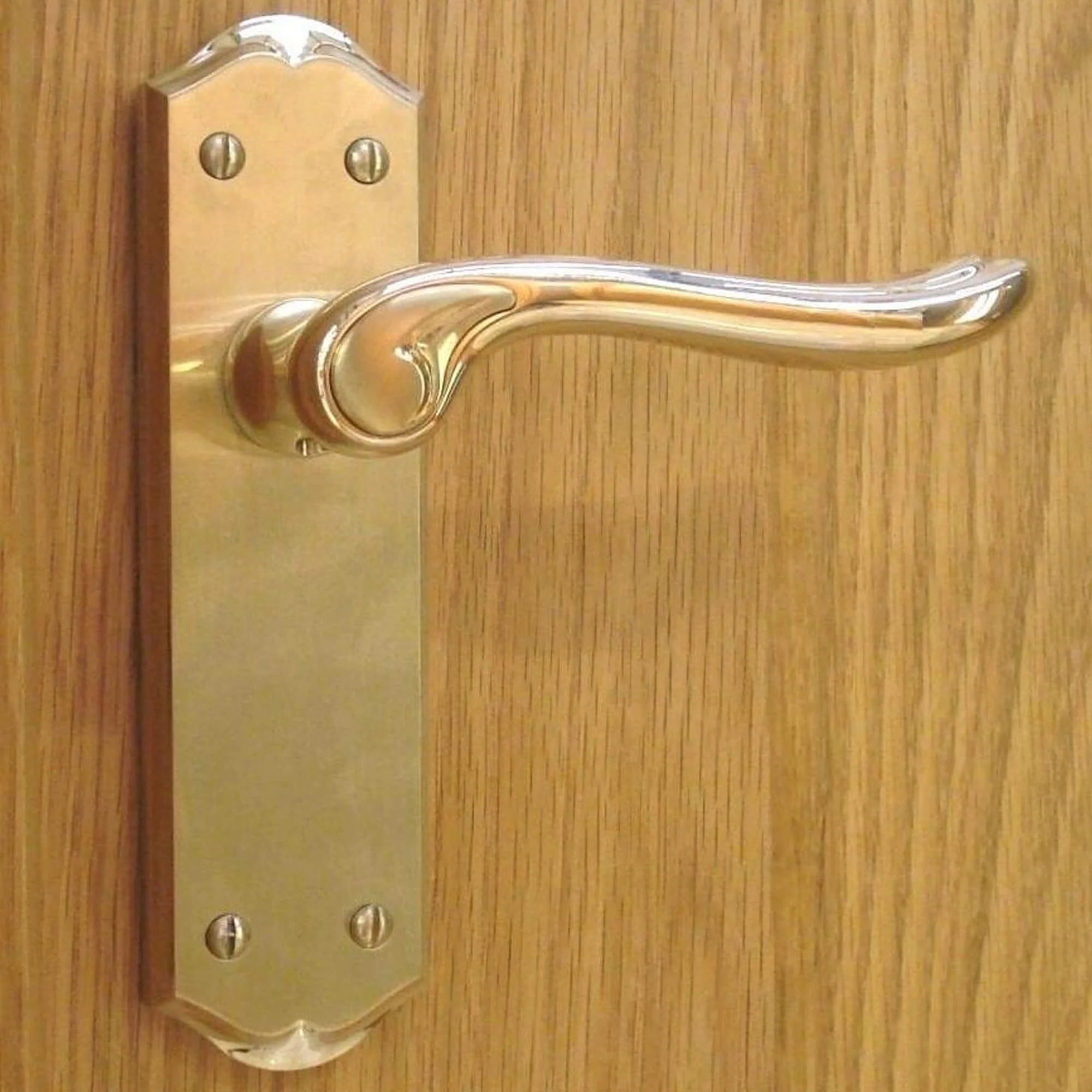 Monet PVD Brass Backplate Handle - Image 4