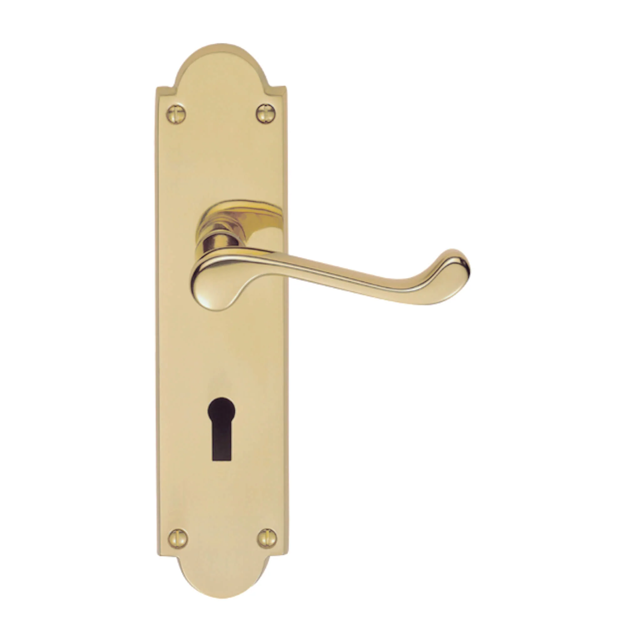 Victorian 8" Brass Backplate Handle - Image 2
