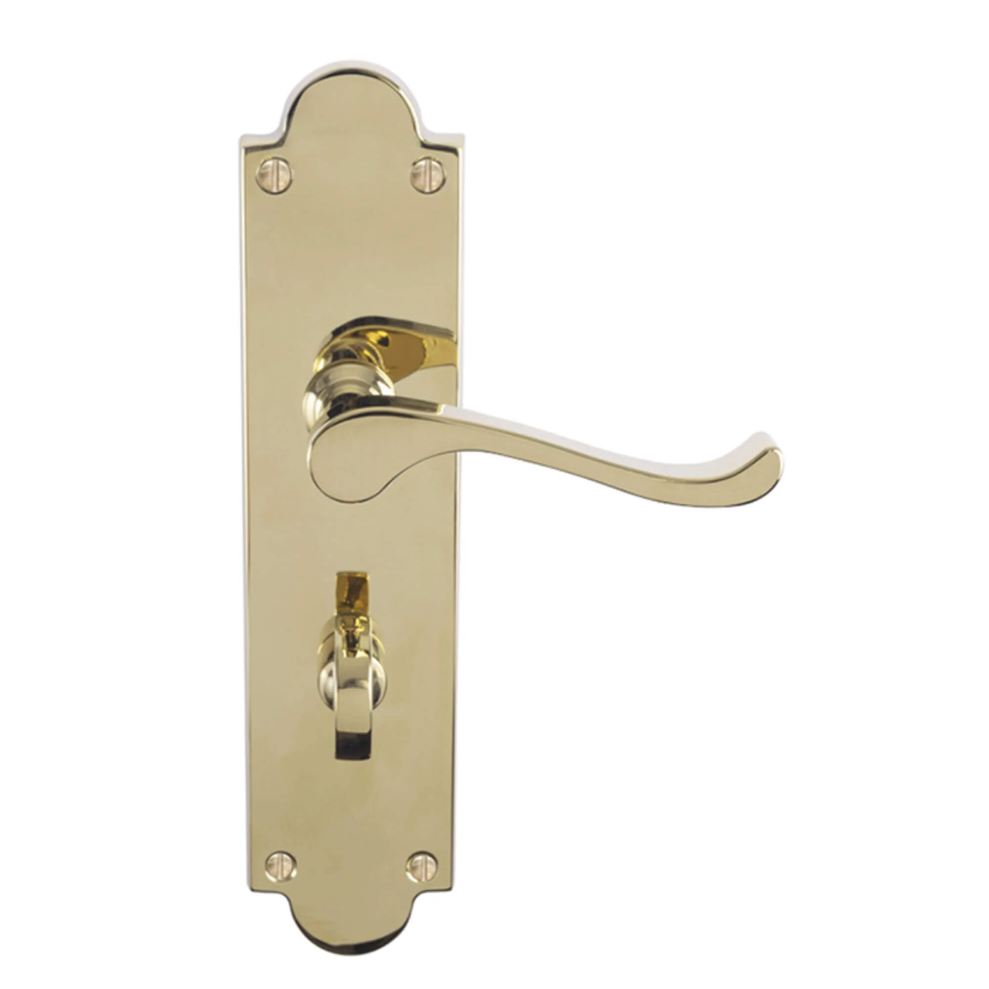Victorian 8" Brass Backplate Handle - Image 3
